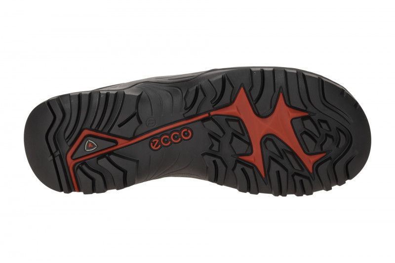 Ecco Offroad Herren Schuhe schwarz Waterproof 822354