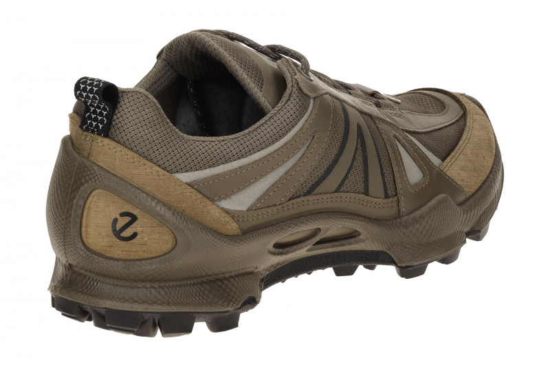 Ecco Biom C-Trail Schuhe taupe grau Herren Running GORE-TEX 803464