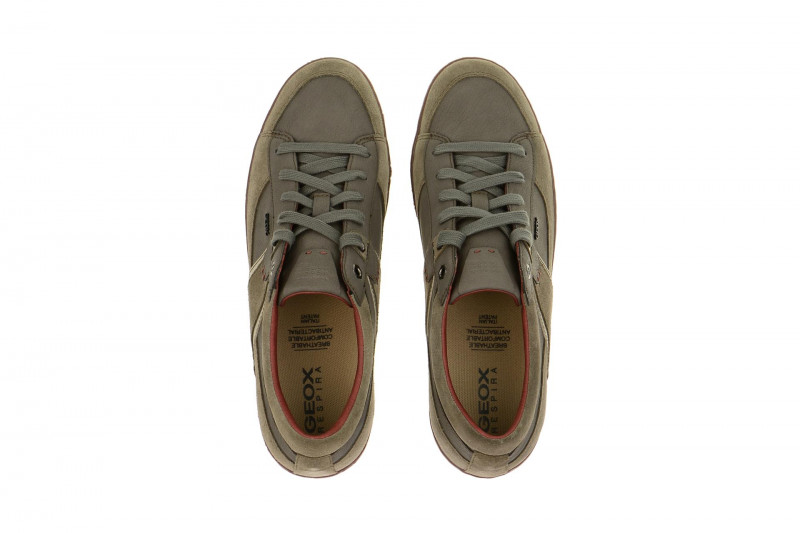 Geox Box Schuhe grau beige - U44R3C