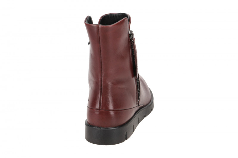 Ecco Bella Stiefelette braun HYDROMAX 282393