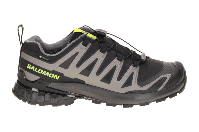 Salomon XA Pro 3D V9 Schuhe schwarz grau GORE-TEX 479873