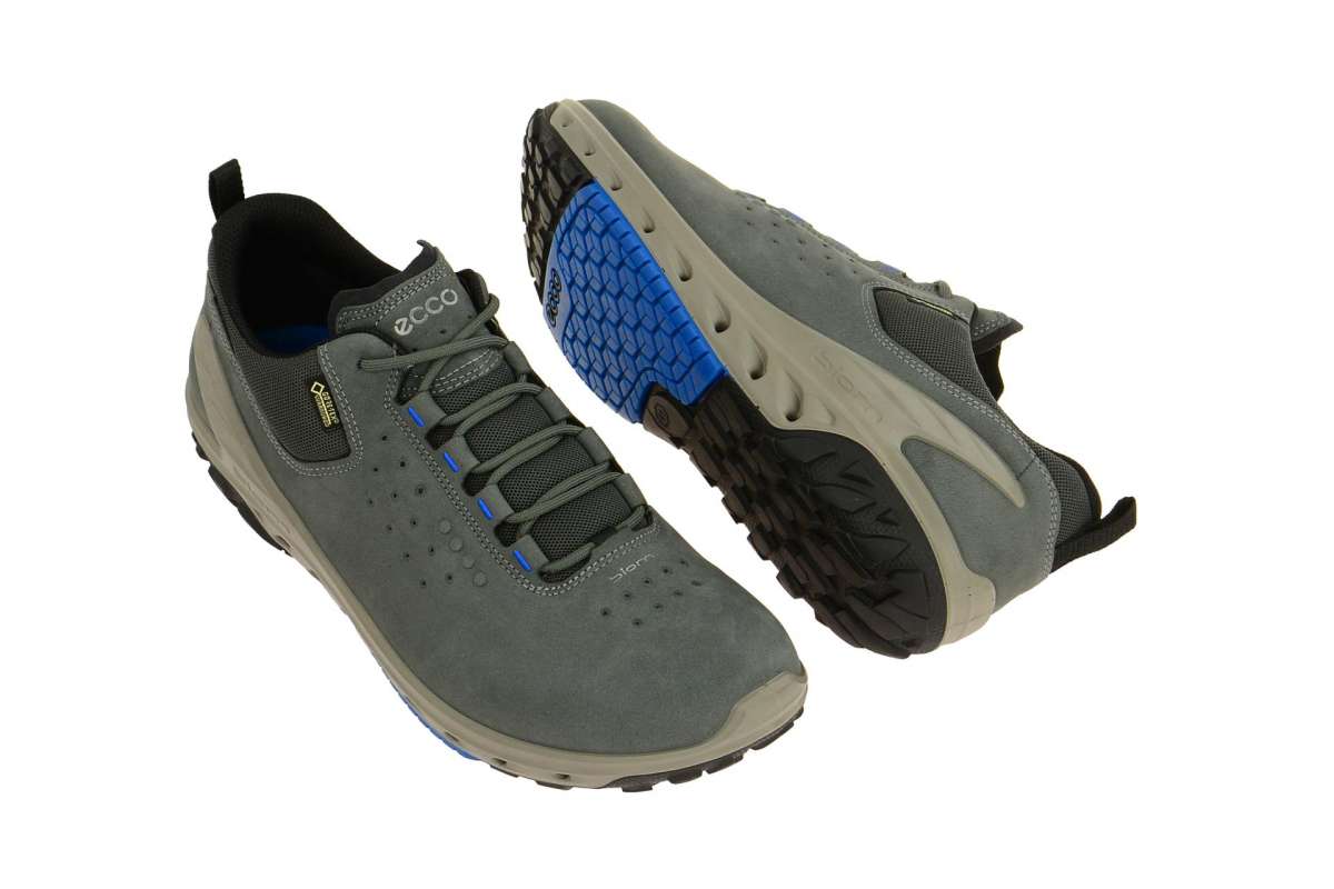 Ecco Biom Venture GTX grau 82072402602 | Schuhhaus Strauch