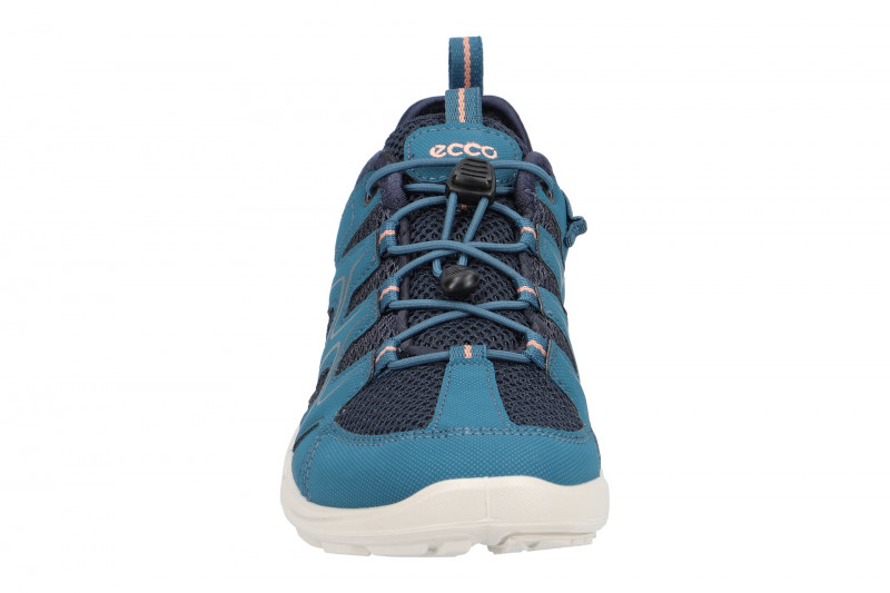 Ecco TerraCruise LT Schuhe blau grau