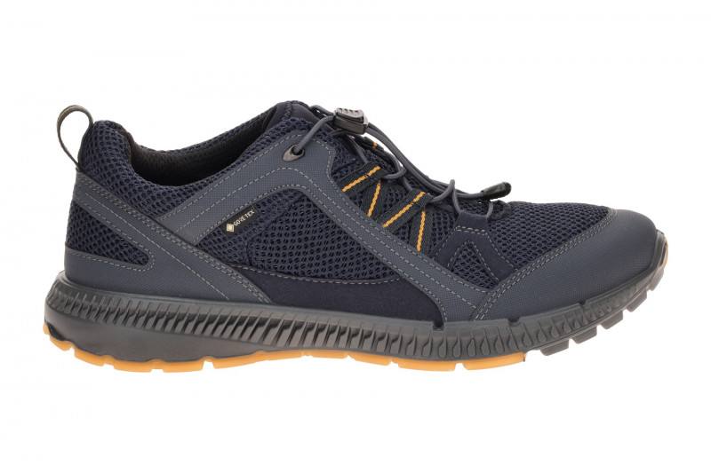Ecco TerraCruise Schuhe blau Herren GORE-TEX