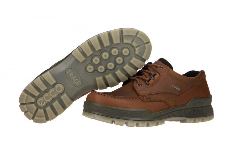 Ecco Track 25 Schuhe braun GORE-TEX