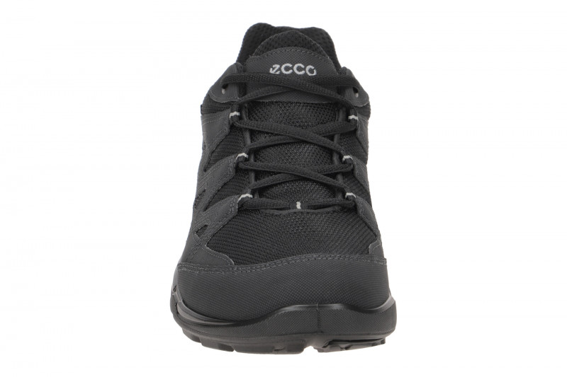 Ecco TerraCruise LT Herren Schuhe schwarz GORE-TEX