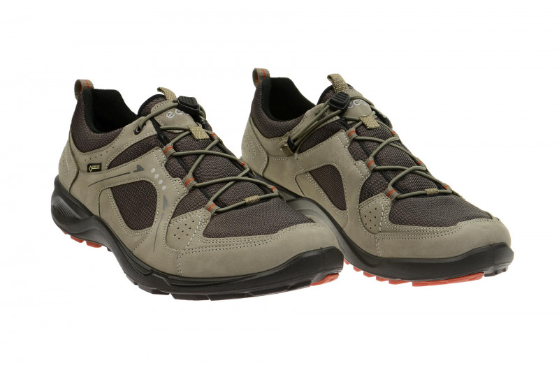Ecco TerraCruise Schuhe grau GORE-TEX 84106458716