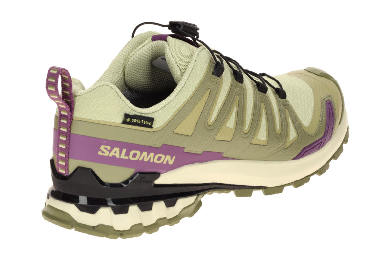 Salomon XA Pro 3D V9 Schuhe Damen grün lila GORE-TEX 491458