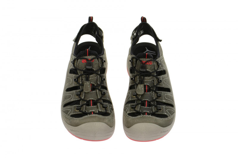 Ecco Biom Delta Sandale grau 81063459494