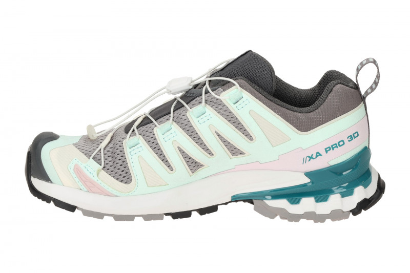 Salomon XA Pro 3D V9 Schuhe Damen grau kombi 471189