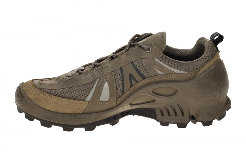 Ecco Biom C-Trail Schuhe taupe grau Herren Running GORE-TEX 803464