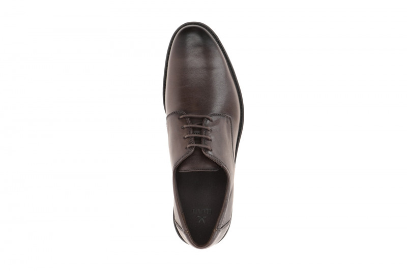 Lloyd Core 110 Schuhe braun moro Business 25-504-07