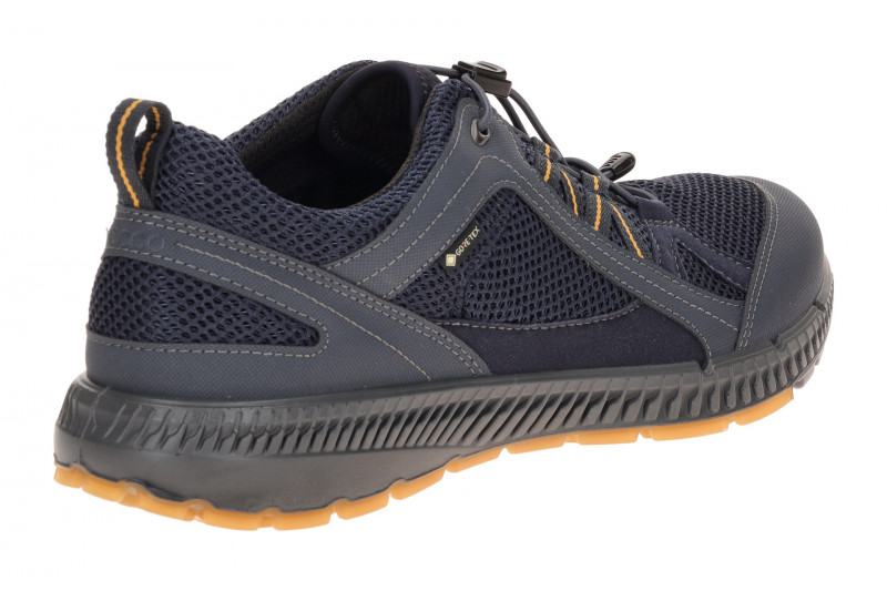 Ecco TerraCruise Schuhe blau Herren GORE-TEX