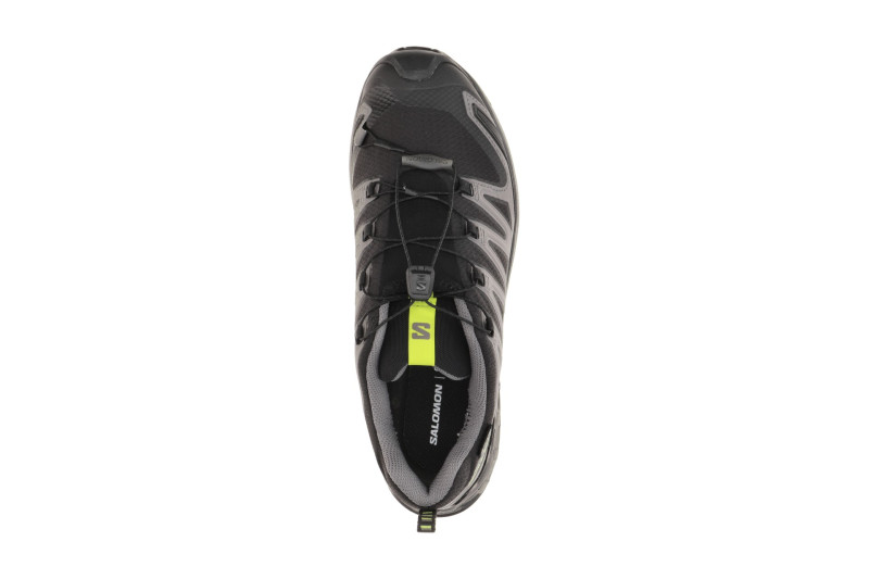 Salomon XA Pro 3D V9 Schuhe schwarz grau GORE-TEX 479873
