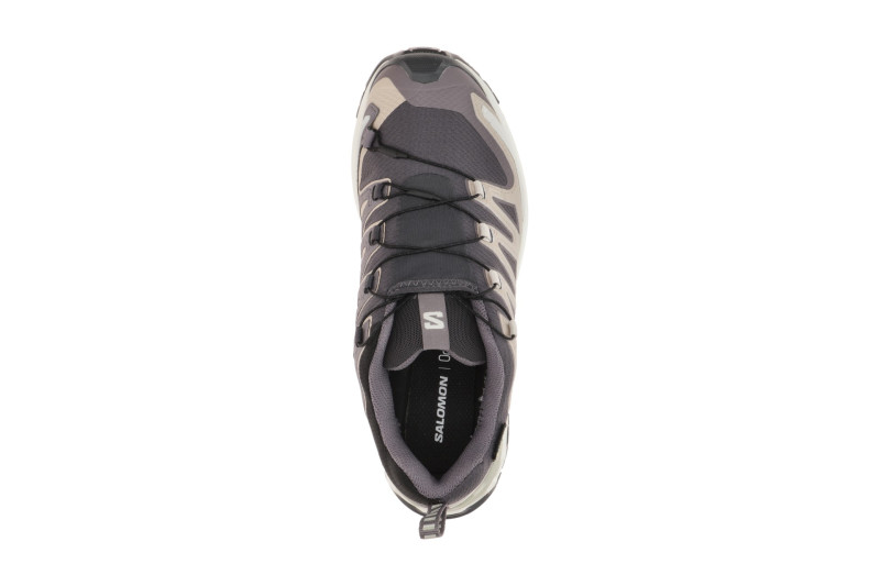 Salomon XA Pro 3D V9 Schuhe Damen grau beige GORE-TEX 477447