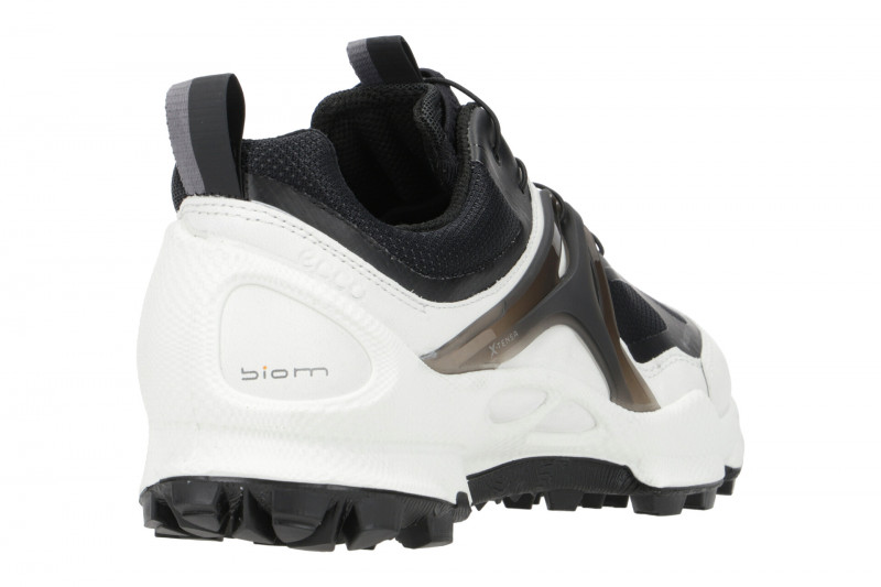ecco Biom C-Trail Schuhe weiß GORE-TEX 803113