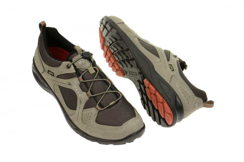 Ecco TerraCruise Schuhe grau GORE-TEX 84106458716