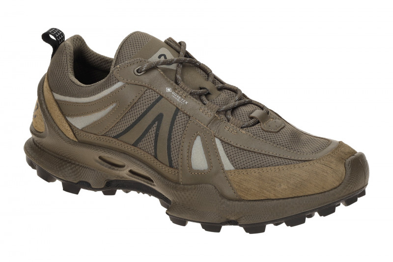 Ecco Biom C-Trail Schuhe taupe grau Herren Running GORE-TEX 803464