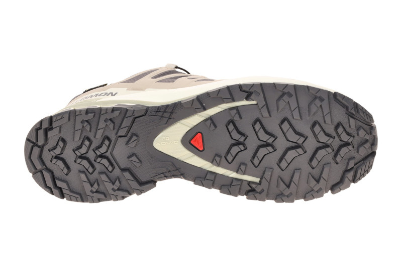 Salomon XA Pro 3D V9 Schuhe Damen grau beige GORE-TEX 477447