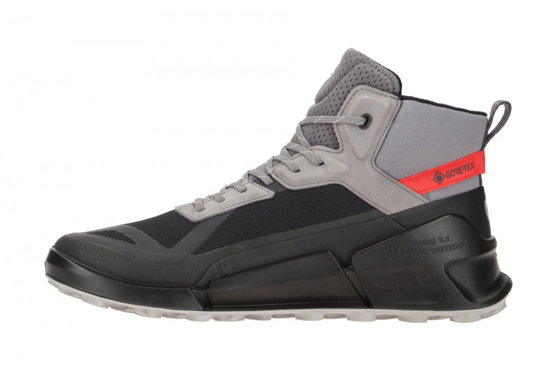 ecco Biom X Mountain Schuhe schwarz grau GORE-TEX