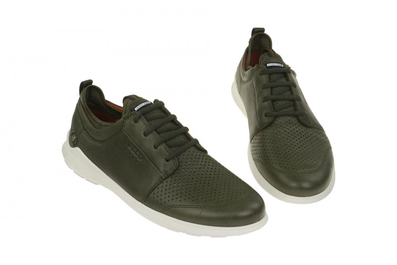 Ecco Transit Schuhe grün Herren Sneaker