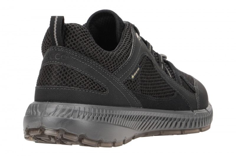Ecco TerraCruise Schuhe schwarz GORE-TEX 843063