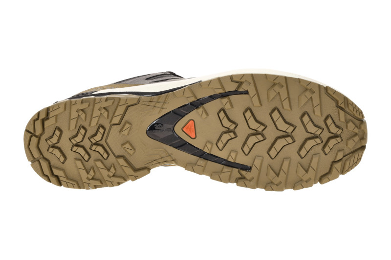 Salomon XA Pro 3D V9 Lifelong Schuhe schwarz braun GORE-TEX 479638