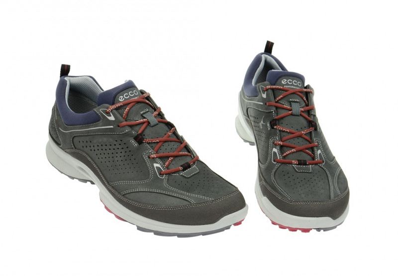Ecco Biom Ultra Schuhe grau 84003456586