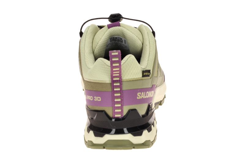 Salomon XA Pro 3D V9 Schuhe Damen grün lila GORE-TEX 491458