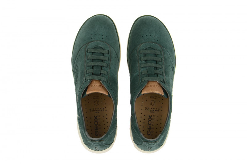 Geox Nebula Slipper grün dark-green U62D7C