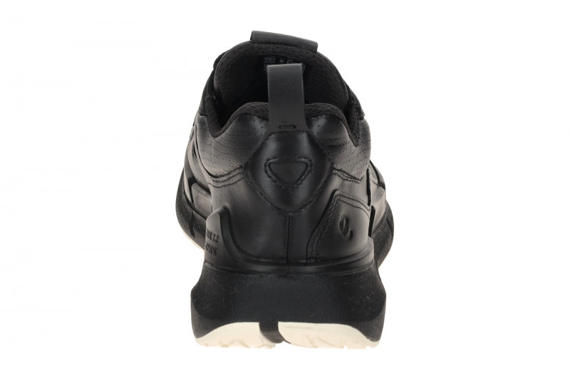 ecco Biom 2.2 Sneaker Schuhe schwarz GORE-TEX 830813