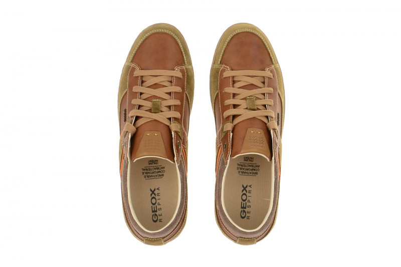 Geox Box Schuhe braun camel - U44R3C