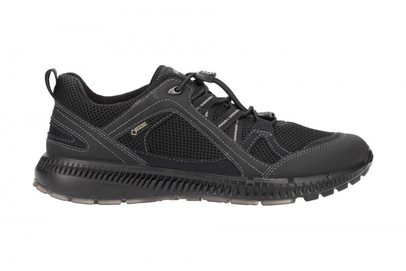 Ecco TerraCruise 2 Schuhe schwarz Gore-Tex 843033