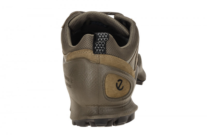 Ecco Biom C-Trail Schuhe taupe grau Herren Running GORE-TEX 803464
