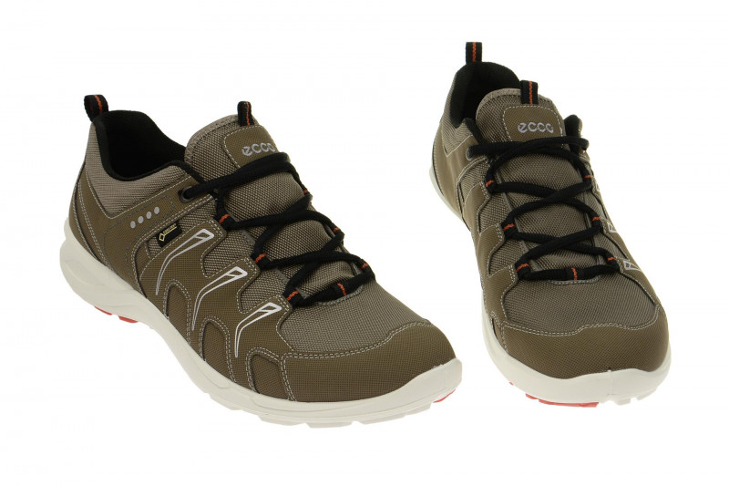 Ecco TerraCruise GTX Schuhe grau 84104459927