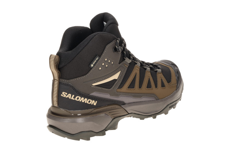 Salomon X Ultra 360 Edge Mid Schuhe schwarz braun GORE-TEX