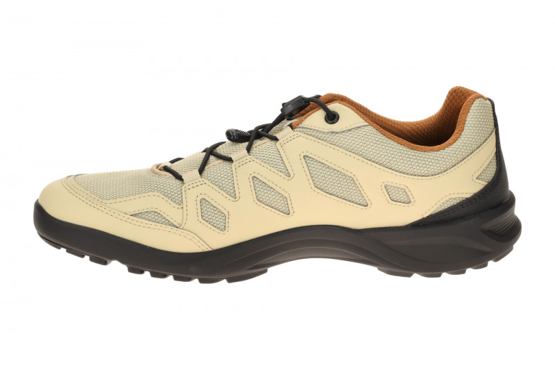 Ecco TerraCruise LT Schuhe sand beige Herren 825804