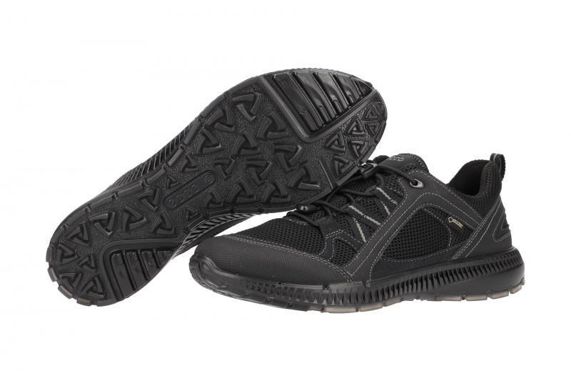 Ecco TerraCruise 2 Schuhe schwarz Gore-Tex 843033