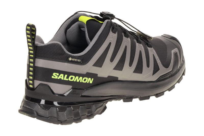 Salomon XA Pro 3D V9 Schuhe schwarz grau GORE-TEX 479873