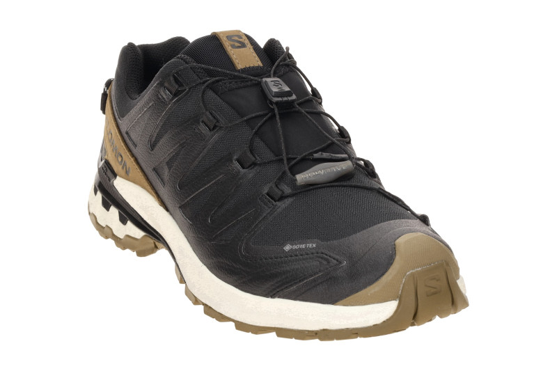 Salomon XA Pro 3D V9 Lifelong Schuhe schwarz braun GORE-TEX 479638