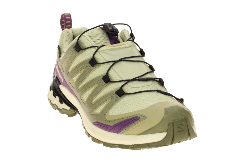 Salomon XA Pro 3D V9 Schuhe Damen grün lila GORE-TEX 491458