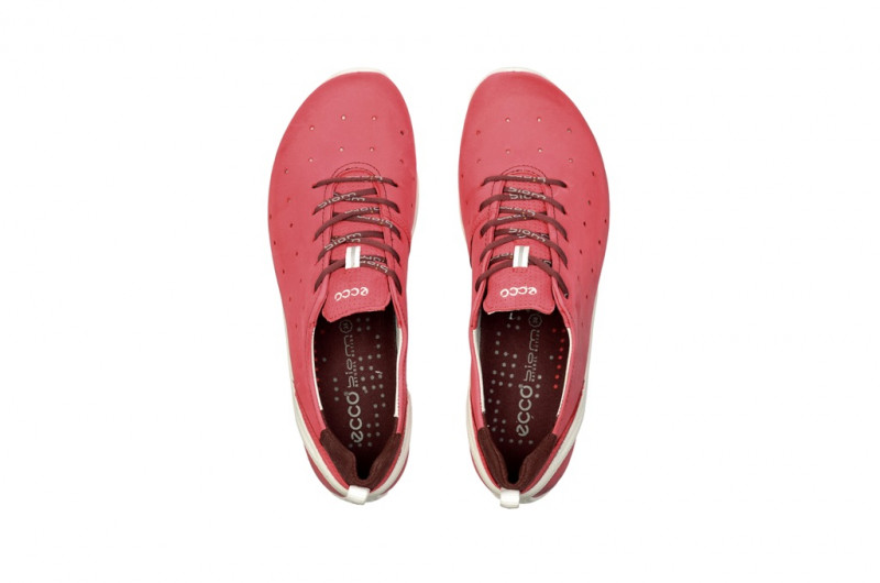 Ecco Biom Lite 1.2 Schuhe pink teaberry 80200358406
