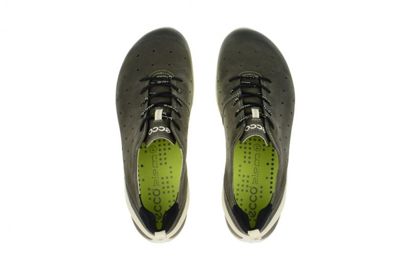 Ecco Biom Lite 1.2 Schuhe dunkelgrau 80200454142
