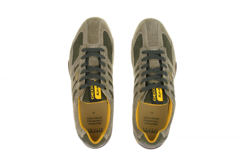 Geox Respira Snake K Sneakers in taupe grün Herrenschuhe