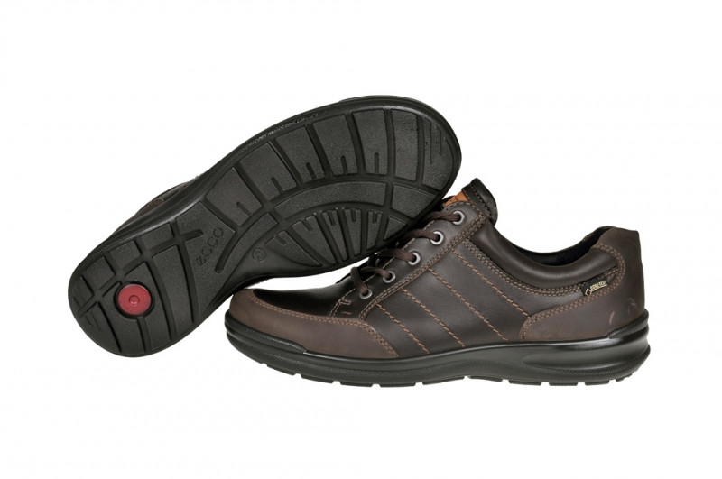 Ecco Remote Schuhe coffee dunkelbraun Gore-Tex 52100451869