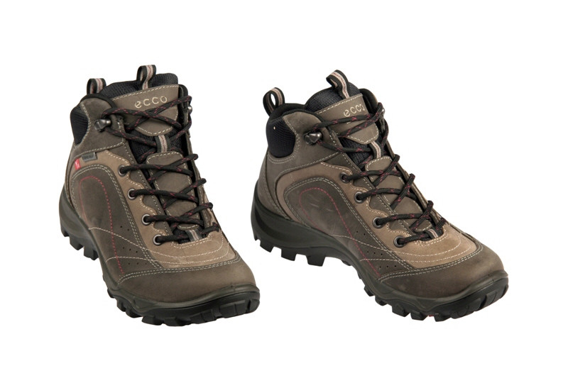 Ecco Xpedition 2 grau warm-grey 81001355634