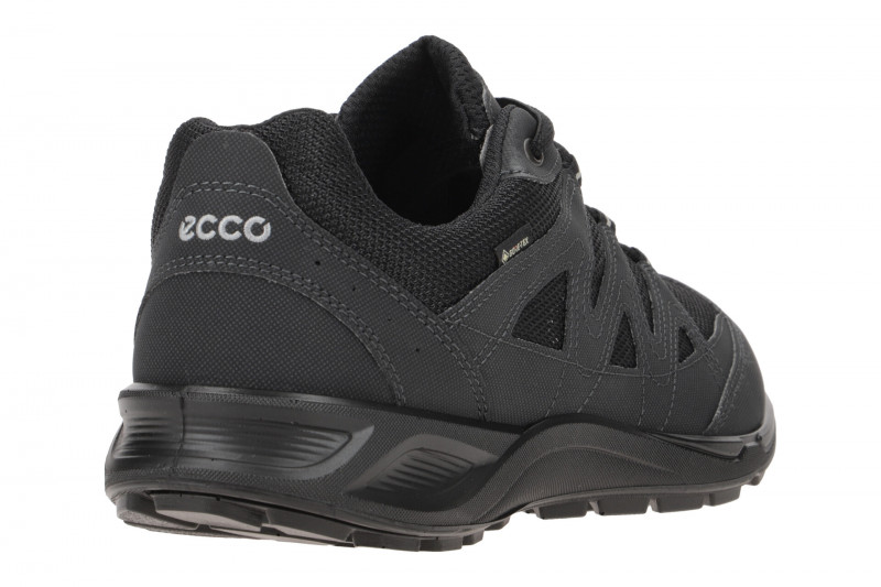 Ecco TerraCruise LT Herren Schuhe schwarz GORE-TEX