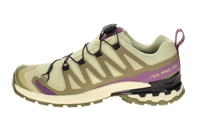 Salomon XA Pro 3D V9 Schuhe Damen grün lila GORE-TEX 491458