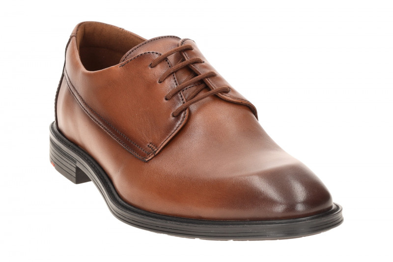 Lloyd X-Motion Schuhe braun Extra-Weit 25-533-03