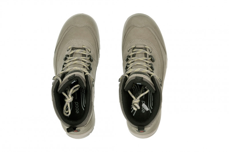 Ecco Xpedition Stiefel grau Gore-Tex